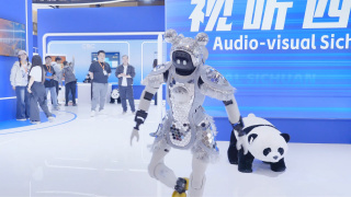 日韩免费va